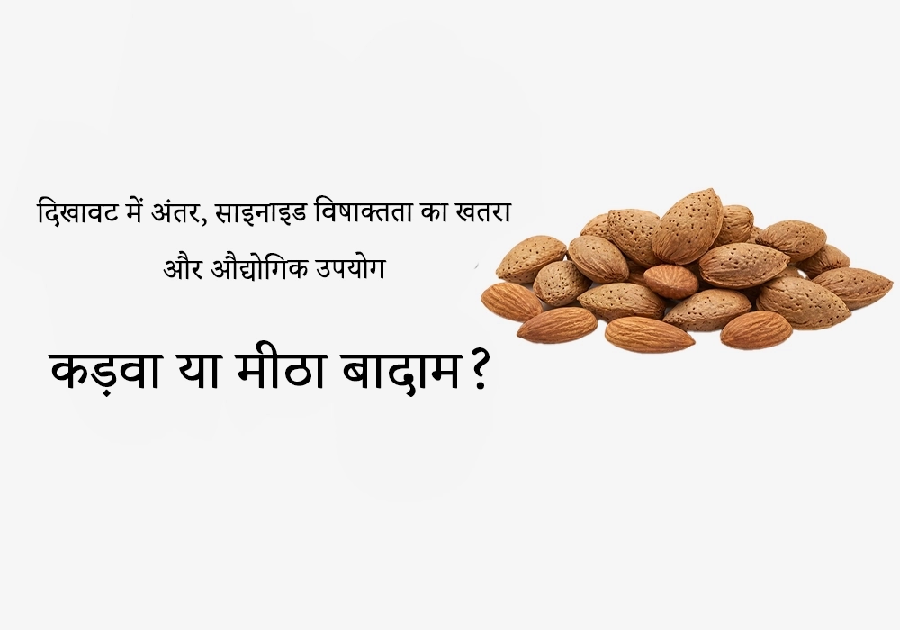 कड़वा या मीठा बादाम?