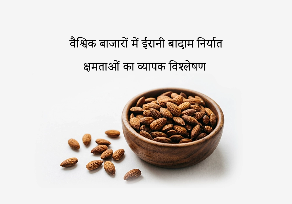 वैश्विक बाजारों में ईरानी बादाम निर्यात क्षमताओं का व्यापक विश्लेषण