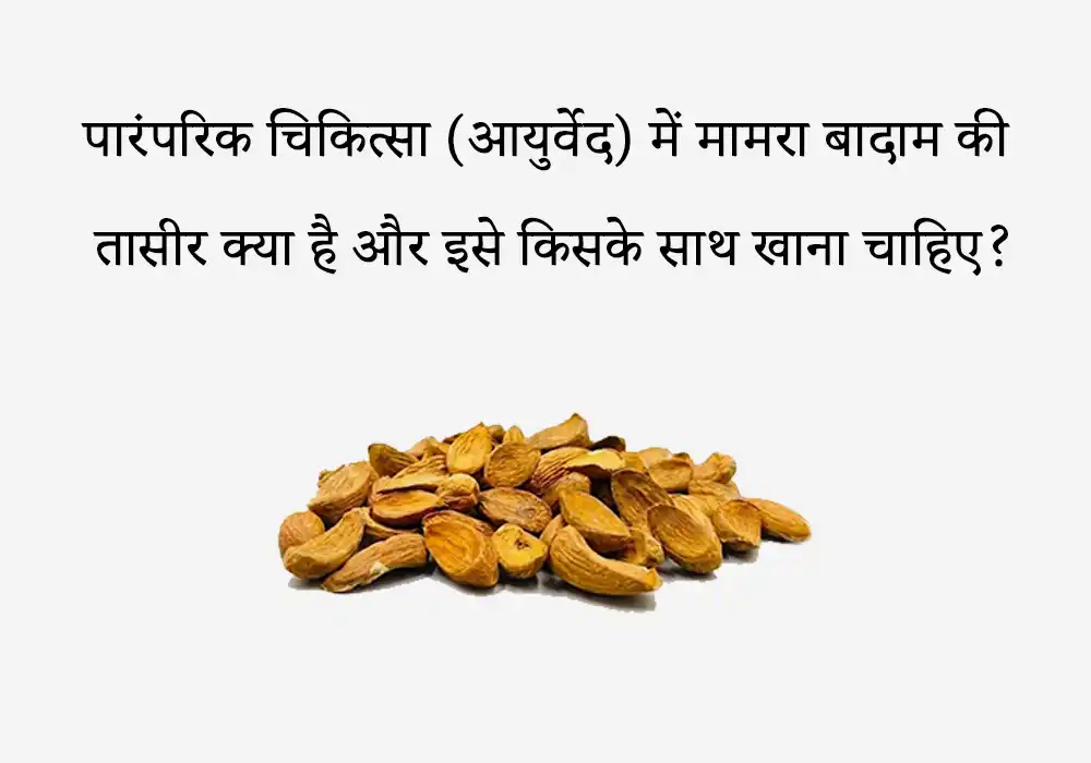 पारंपरिक चिकित्सा (आयुर्वेद) में मामरा बादाम की तासीर क्या है और इसे किसके साथ खाना चाहिए?