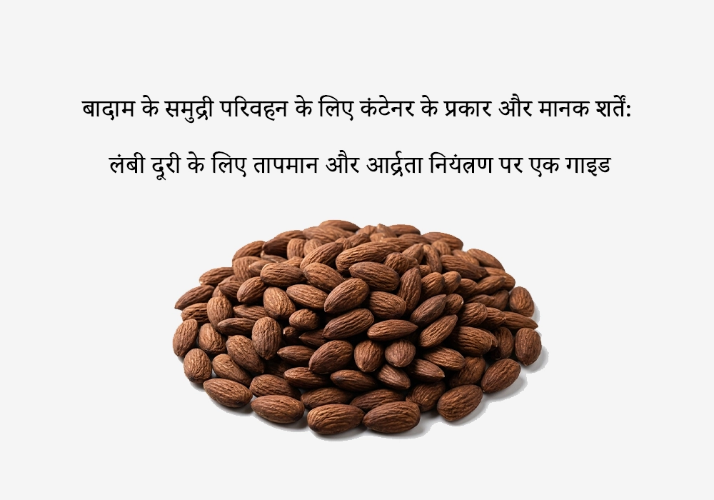 बादाम के समुद्री परिवहन के लिए कंटेनर के प्रकार और मानक शर्तें: लंबी दूरी के लिए तापमान और आर्द्रता नियंत्रण पर एक गाइड