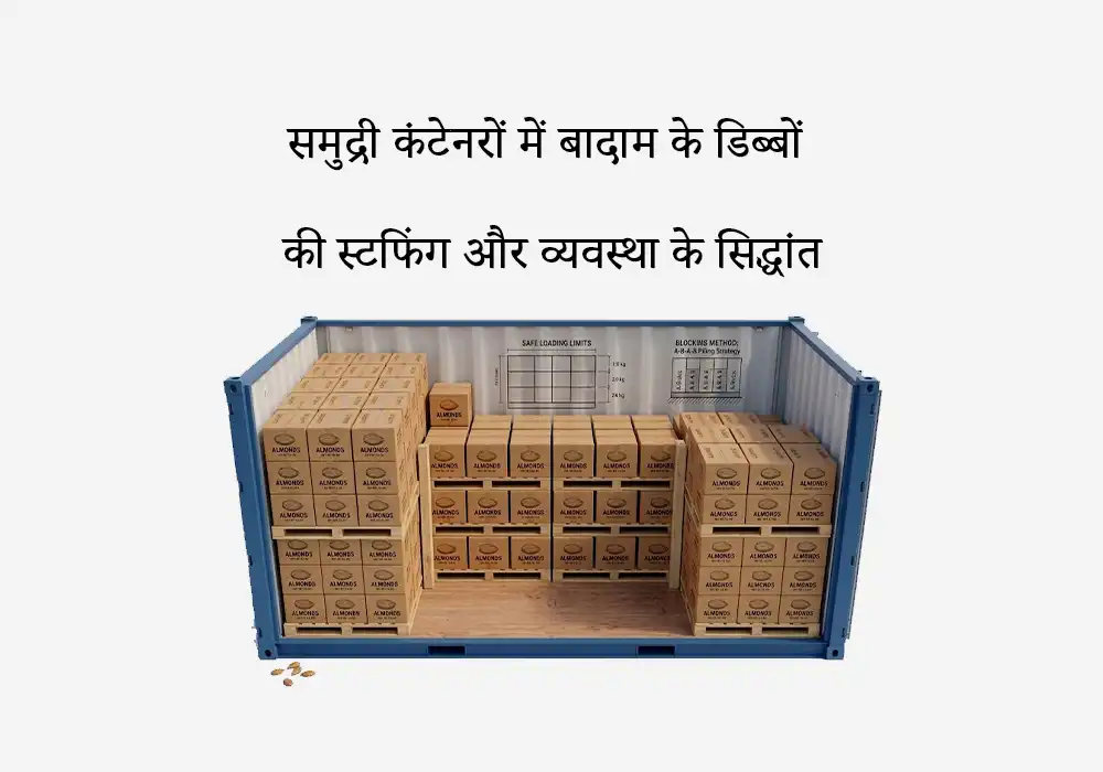 समुद्री कंटेनरों में बादाम के डिब्बों की स्टफिंग (Stuffing) और व्यवस्था के सिद्धांत