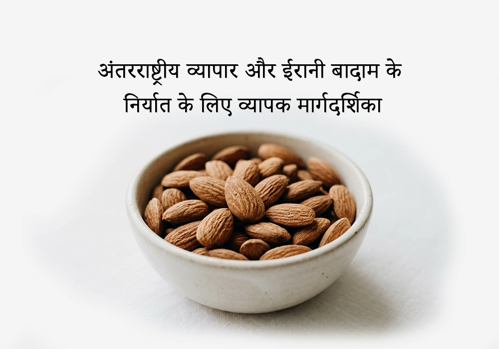 अंतरराष्ट्रीय व्यापार और ईरानी बादाम के निर्यात के लिए व्यापक मार्गदर्शिका