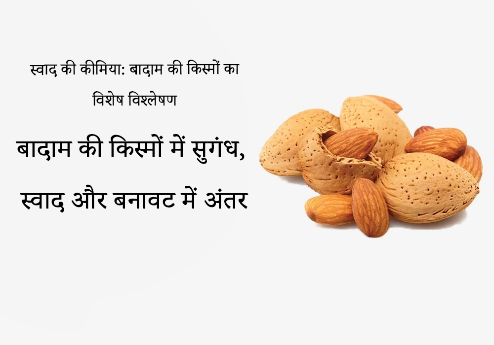 स्वाद की कीमिया: बादाम की किस्मों की विशेषज्ञ समीक्षा
