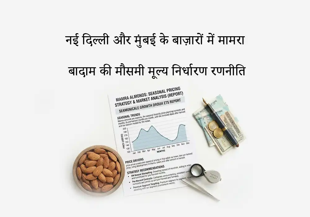 नई दिल्ली और मुंबई के बाज़ारों में मामरा बादाम की मौसमी मूल्य निर्धारण रणनीति