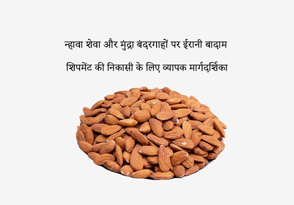 न्हावा शेवा और मुंद्रा बंदरगाहों पर ईरानी बादाम शिपमेंट की निकासी के लिए व्यापक मार्गदर्शिका