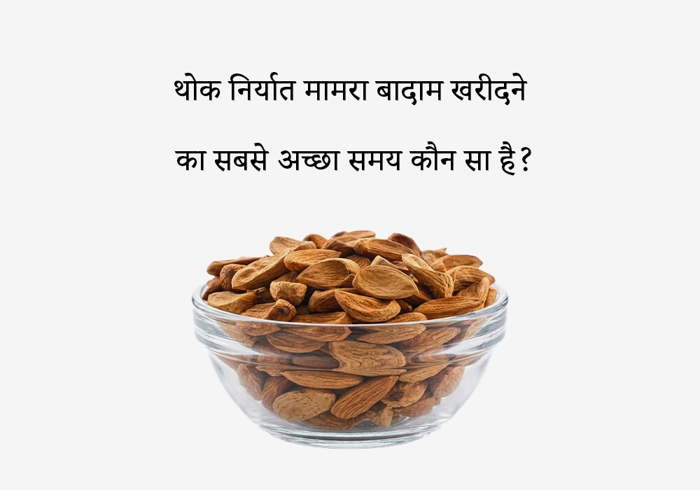 थोक निर्यात मामरा बादाम खरीदने का सबसे अच्छा समय कौन सा है?