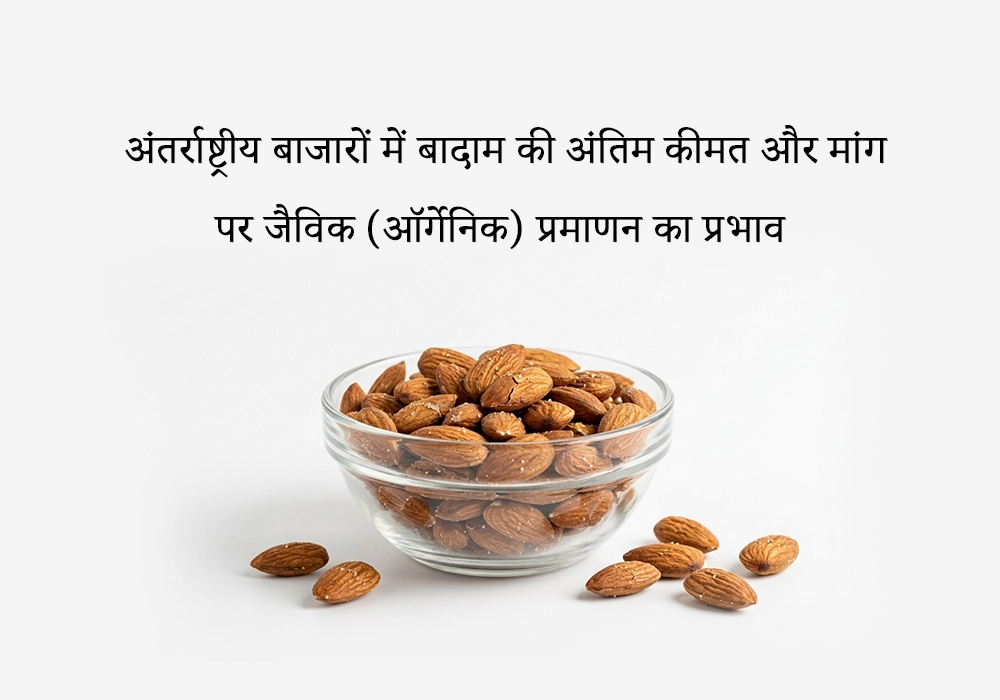 वैश्विक कीमत और मांग पर ऑर्गेनिक बादाम का प्रभाव