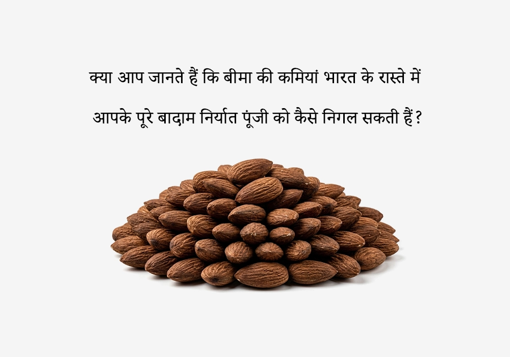 क्या आप जानते हैं कि बीमा की कमियां भारत के रास्ते में आपके पूरे बादाम निर्यात पूंजी को कैसे निगल सकती हैं?