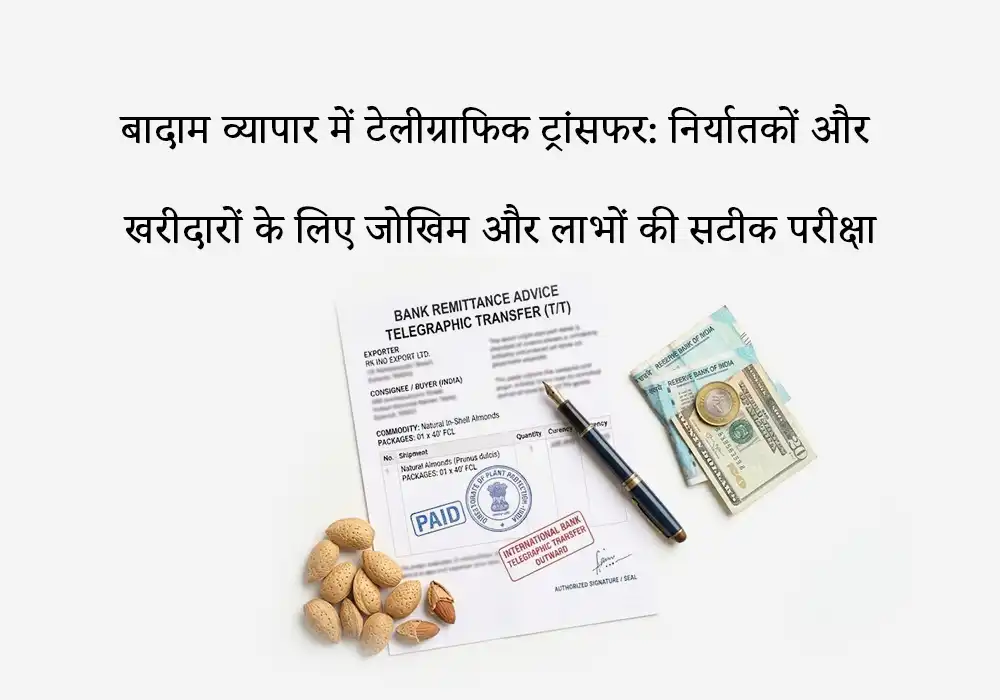 बादाम व्यापार में टेलीग्राफिक ट्रांसफर: निर्यातकों और खरीदारों के लिए जोखिम और लाभों की सटीक परीक्षा