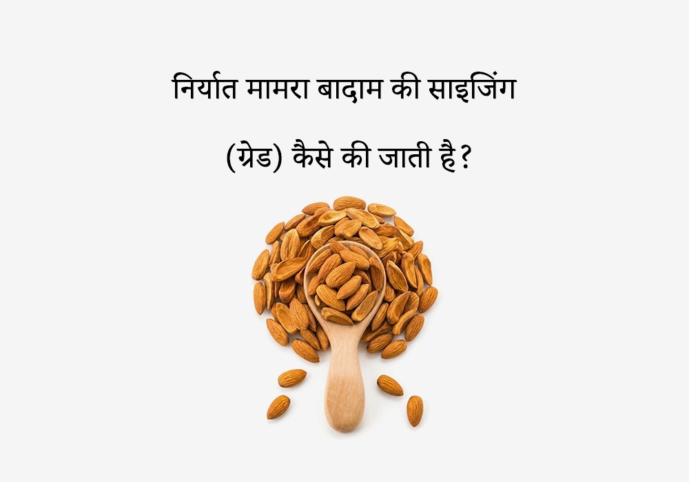 निर्यात मामरा बादाम की साइजिंग (ग्रेड) कैसे की जाती है?