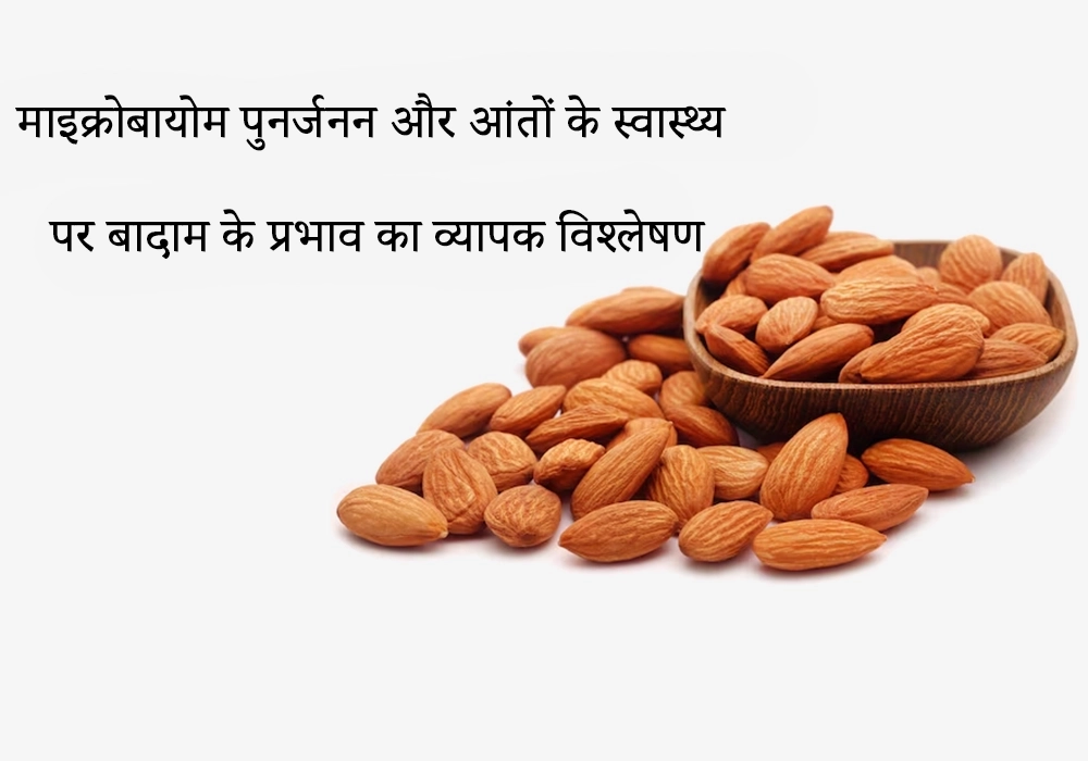 माइक्रोबायोम पुनर्निर्माण और आंतों के स्वास्थ्य पर बादाम के प्रभाव की व्यापक समीक्षा