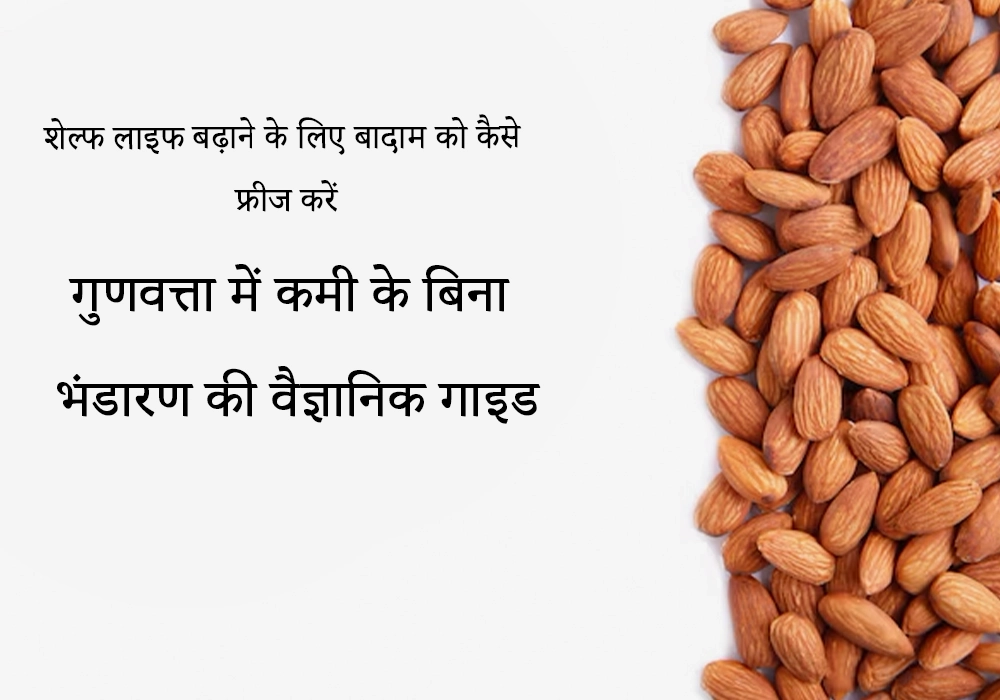 बादाम की शेल्फ लाइफ बढ़ाने के लिए उन्हें फ्रीज कैसे करें