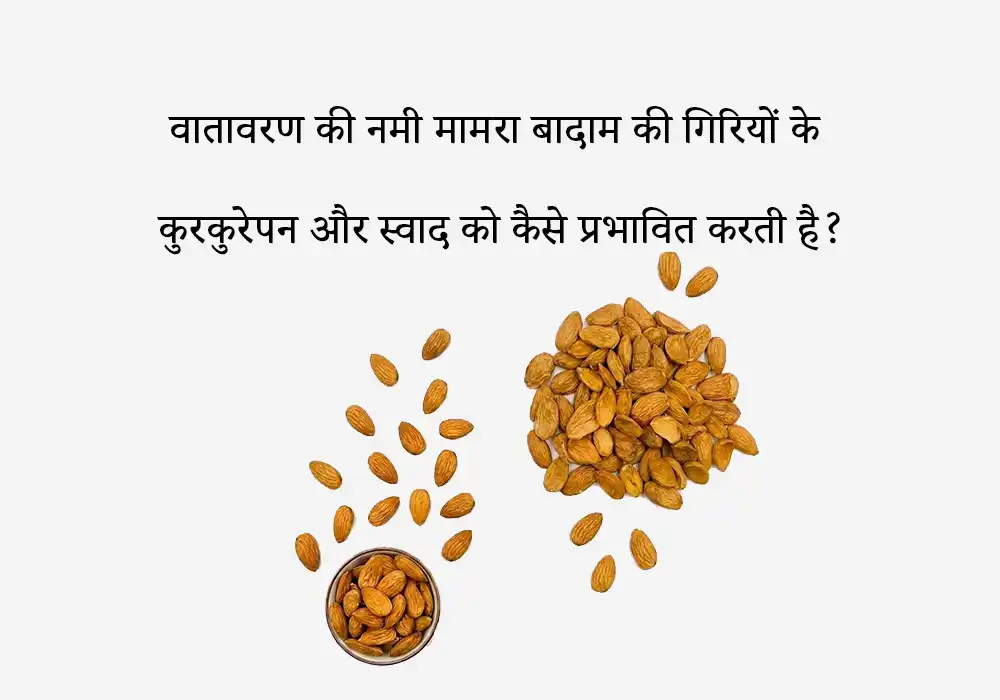 वातावरण की नमी मामरा बादाम की गिरियों के कुरकुरेपन और स्वाद को कैसे प्रभावित करती है?