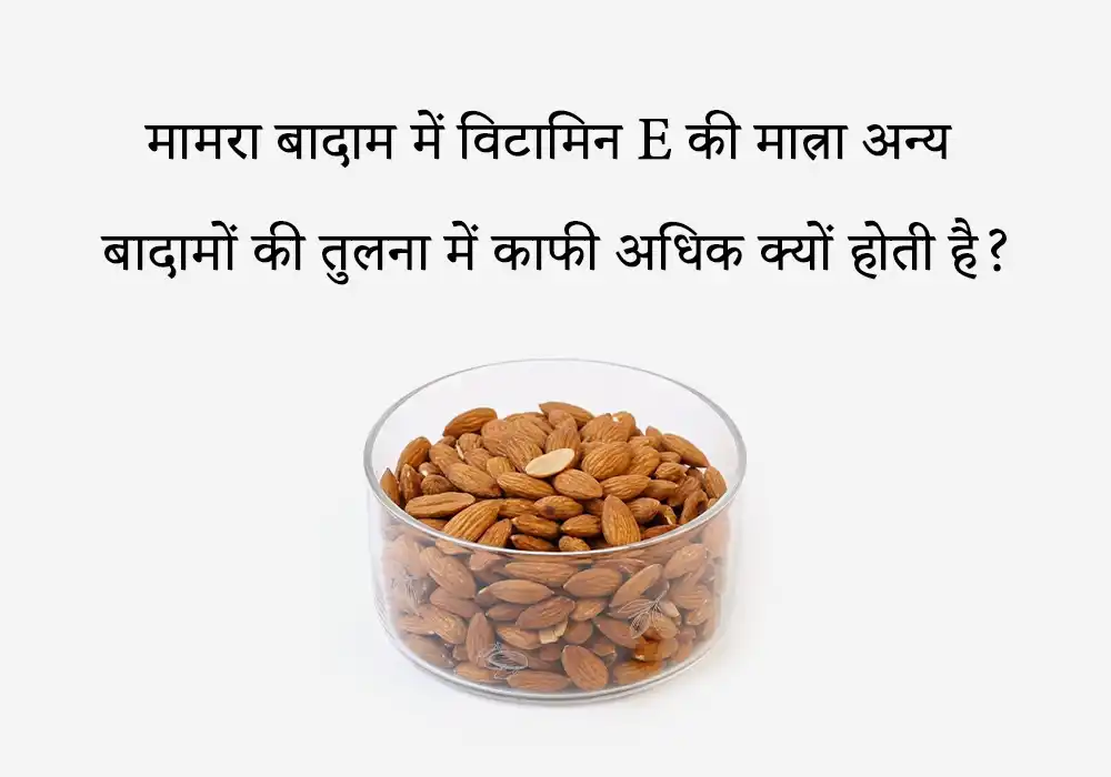 मामरा बादाम में विटामिन E की मात्रा अन्य बादामों की तुलना में काफी अधिक क्यों होती है?