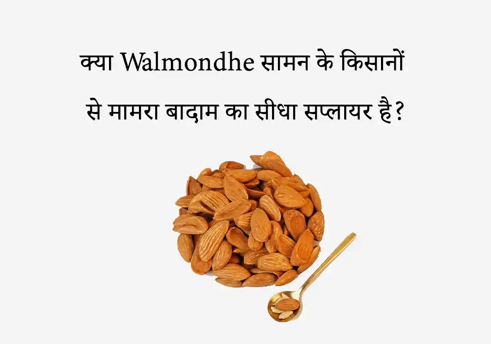 क्या Walmondhe सामन के किसानों से मामरा बादाम का सीधा सप्लायर है?