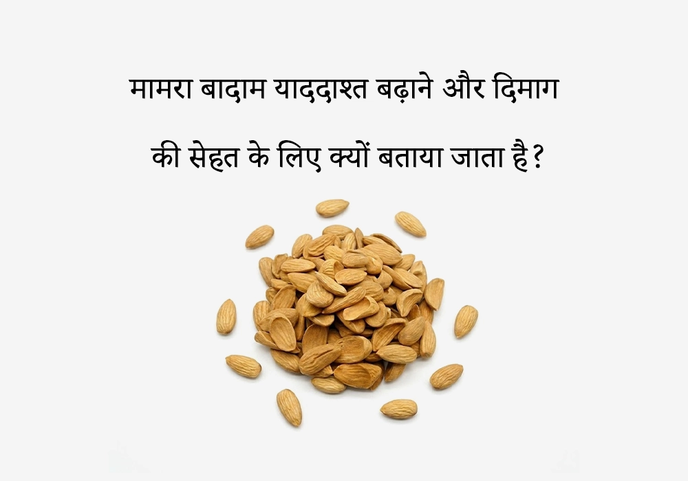 मामरा बादाम याददाश्त बढ़ाने और दिमाग की सेहत के लिए क्यों बताया जाता है?