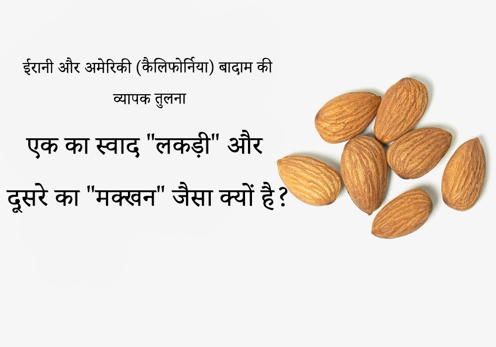 ईरानी बादाम और अमेरिकी (कैलिफोर्निया) बादाम की व्यापक तुलना