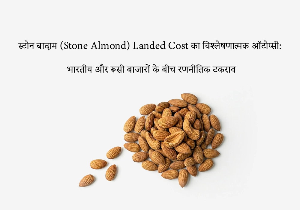 भारत बनाम रूस: Landed Cost बादाम निर्यात में क्यों महत्वपूर्ण है