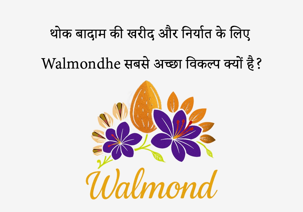 थोक बादाम की खरीद और निर्यात के लिए वालमोंड (Walmondhe) सबसे अच्छा विकल्प क्यों है?