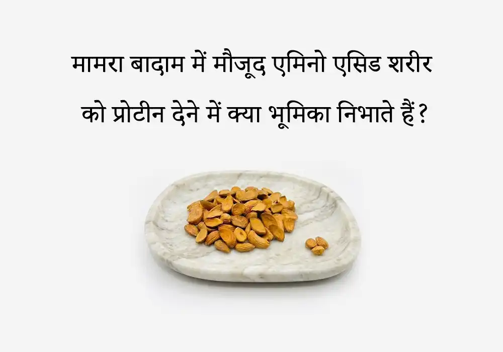 मामरा बादाम में मौजूद एमिनो एसिड शरीर को प्रोटीन देने में क्या भूमिका निभाते हैं?