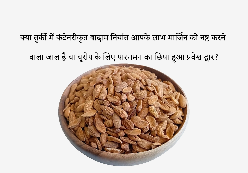क्या तुर्की में कंटेनरीकृत बादाम निर्यात आपके लाभ मार्जिन को नष्ट करने वाला जाल है या यूरोप के लिए पारगमन का छिपा हुआ प्रवेश द्वार?