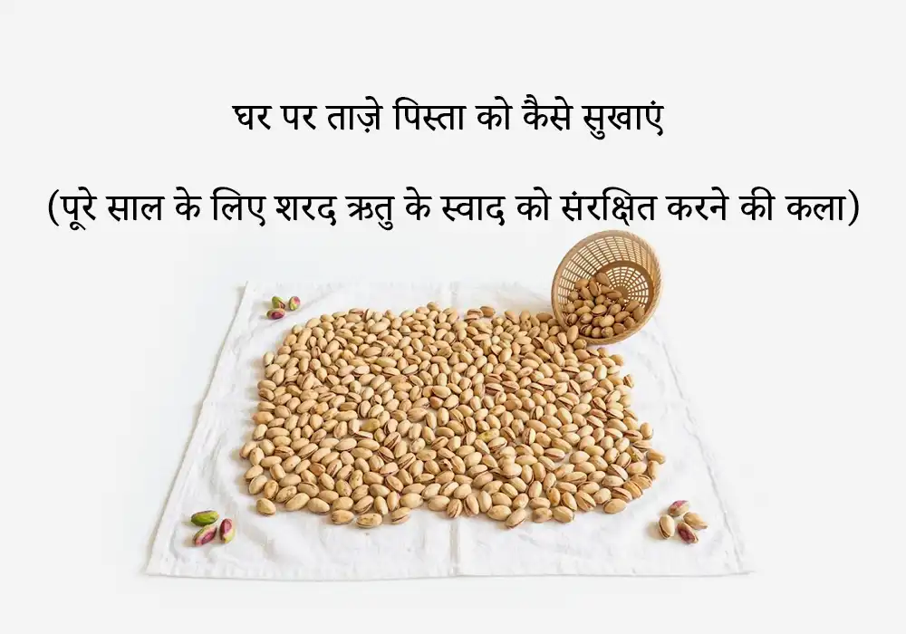 घर पर ताज़े पिस्ता को कैसे सुखाएं