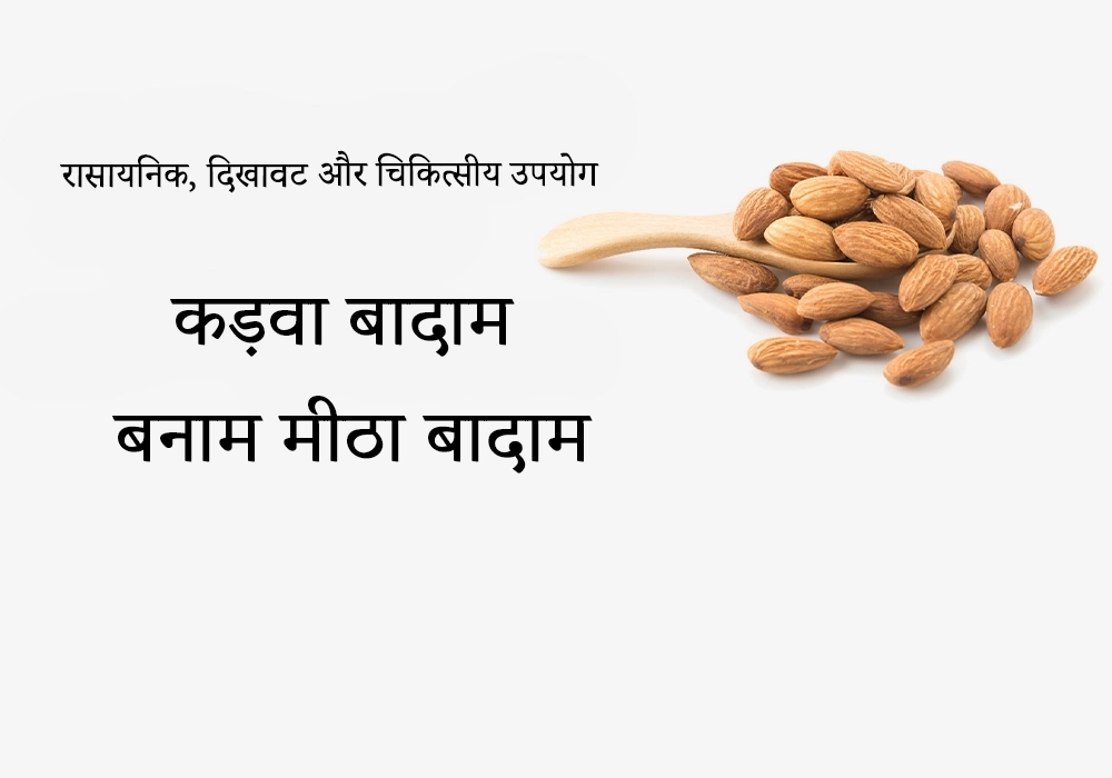 कड़वा बादाम बनाम मीठा बादाम