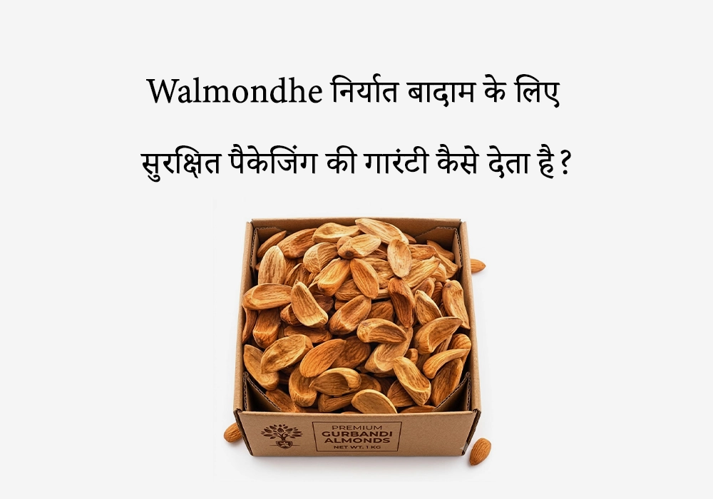 Walmondhe निर्यात बादाम के लिए सुरक्षित पैकेजिंग की गारंटी कैसे देता है?