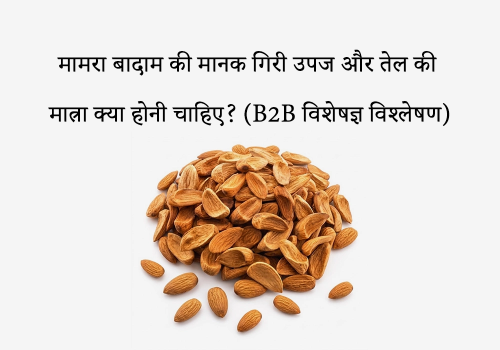 मामरा बादाम की मानक गिरी उपज (Kernel Yield) और तेल की मात्रा (Oil Content) क्या होनी चाहिए?
