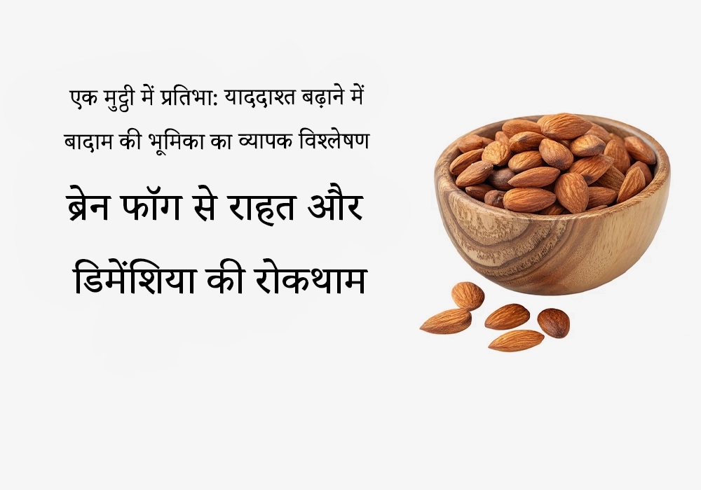 याददाश्त बढ़ाने में बादाम की भूमिका की व्यापक समीक्षा