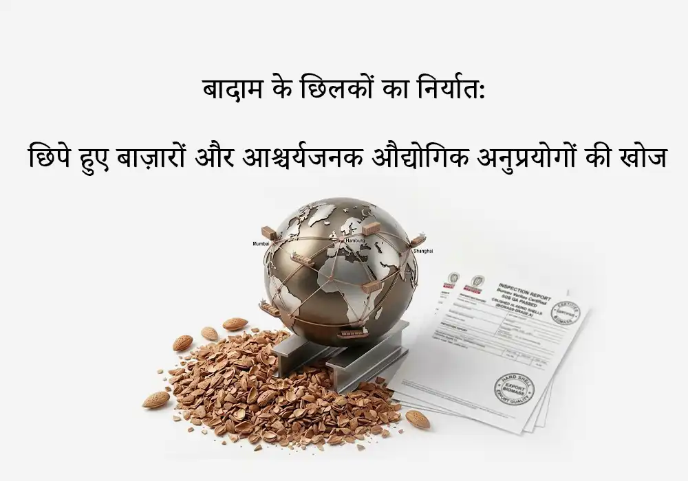 बादाम के छिलकों का निर्यात: छिपे हुए बाज़ारों और आश्चर्यजनक औद्योगिक अनुप्रयोगों की खोज