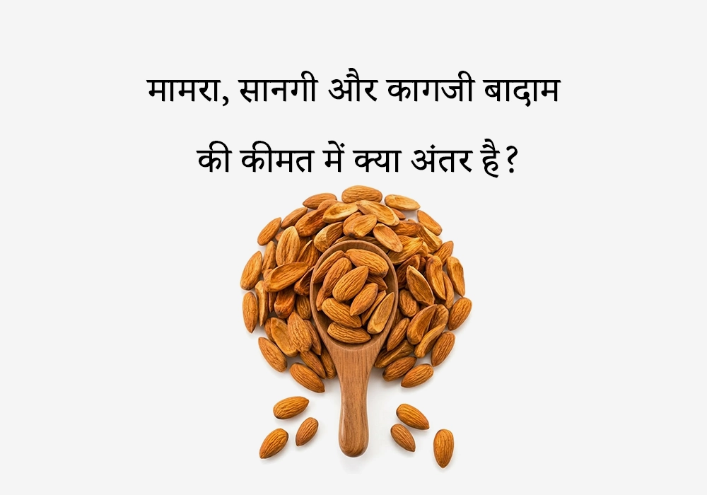 मामरा, सानगी और कागजी बादाम की कीमत में क्या अंतर है?