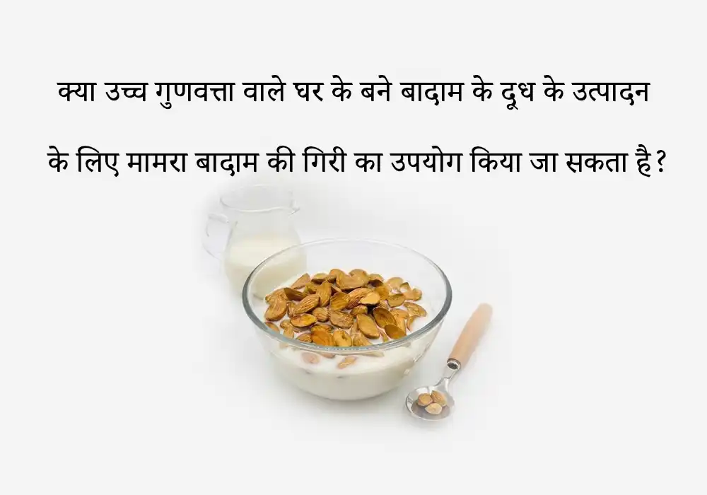 क्या उच्च गुणवत्ता वाले घर के बने बादाम के दूध के उत्पादन के लिए मामरा बादाम की गिरी का उपयोग किया जा सकता है?