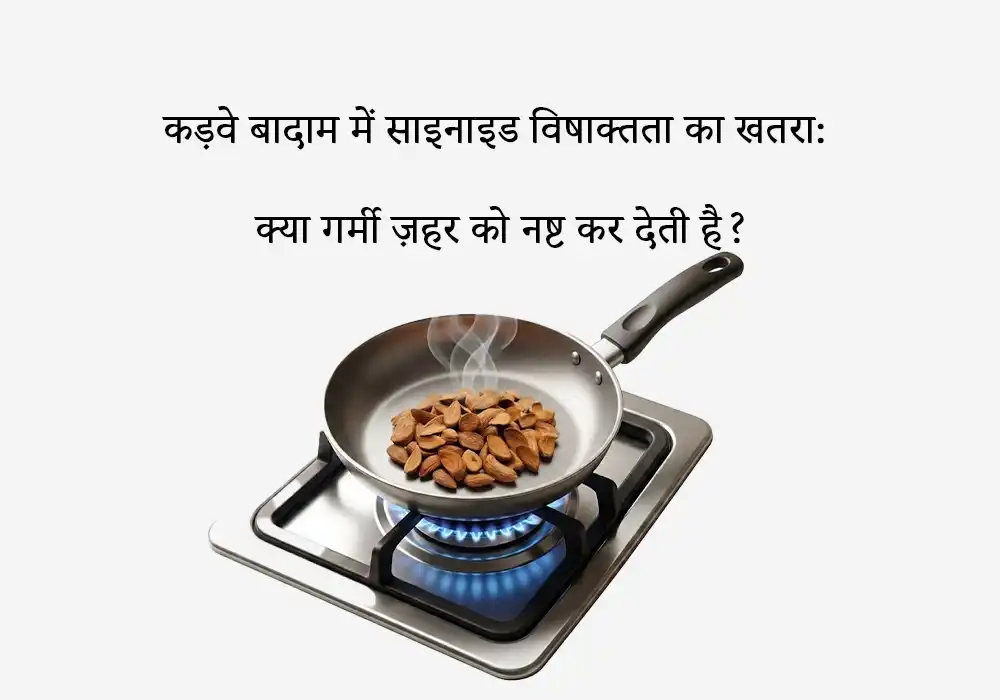 कड़वे बादाम में साइनाइड विषाक्तता का खतरा: क्या गर्मी ज़हर को नष्ट कर देती है?