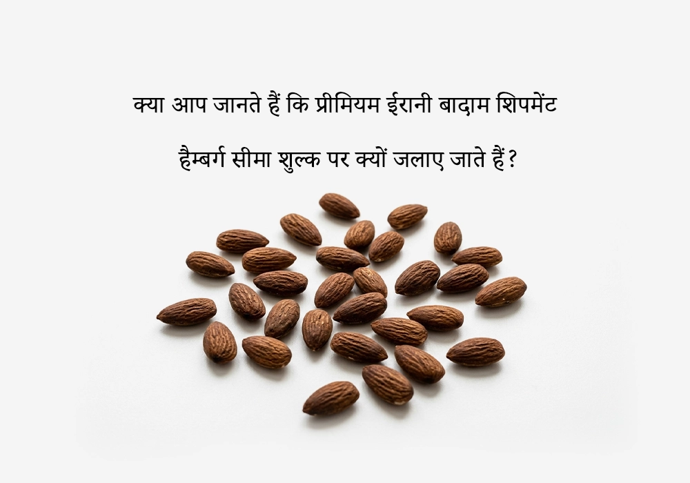 क्या आप जानते हैं कि प्रीमियम ईरानी बादाम शिपमेंट हैम्बर्ग सीमा शुल्क पर क्यों जलाए जाते हैं?