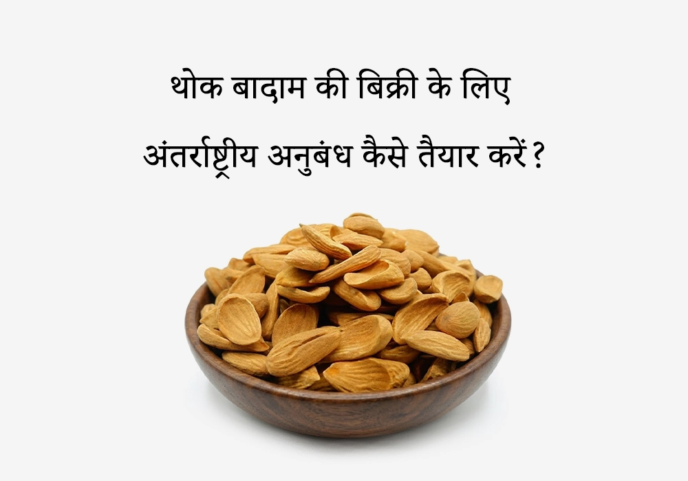 थोक बादाम की बिक्री के लिए अंतर्राष्ट्रीय अनुबंध कैसे तैयार करें?