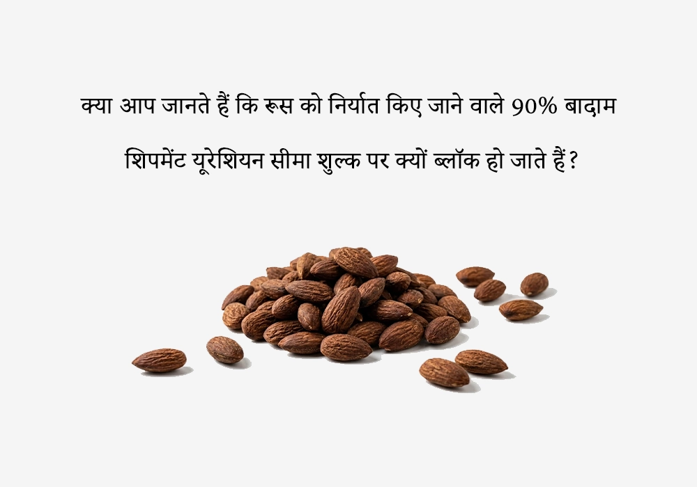 क्या आप जानते हैं कि रूस को निर्यात किए जाने वाले 90% बादाम शिपमेंट यूरेशियन सीमा शुल्क पर क्यों ब्लॉक हो जाते हैं?