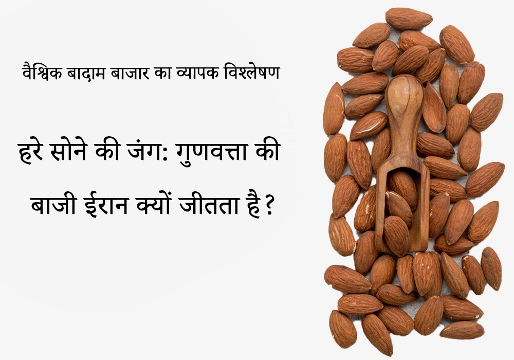 वैश्विक बादाम बाजार का व्यापक विश्लेषण