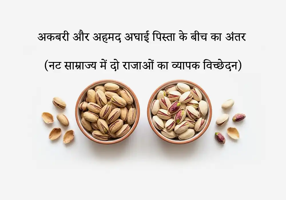 अकबरी और अहमद अघाई पिस्ता के बीच का अंतर