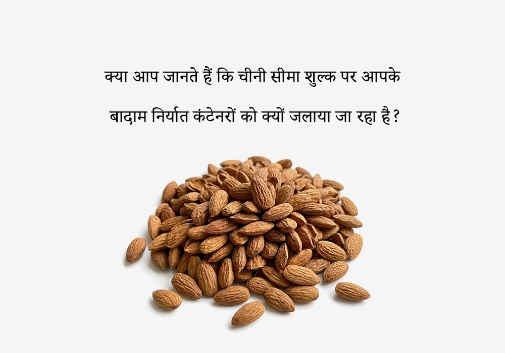 क्या आप जानते हैं कि चीनी सीमा शुल्क पर आपके बादाम निर्यात कंटेनरों को क्यों जलाया जा रहा है?