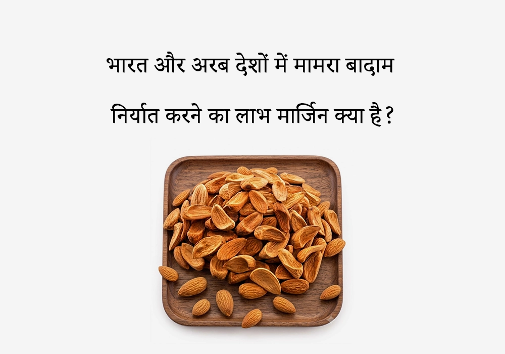 भारत और अरब देशों में मामरा बादाम निर्यात करने का लाभ मार्जिन क्या है?