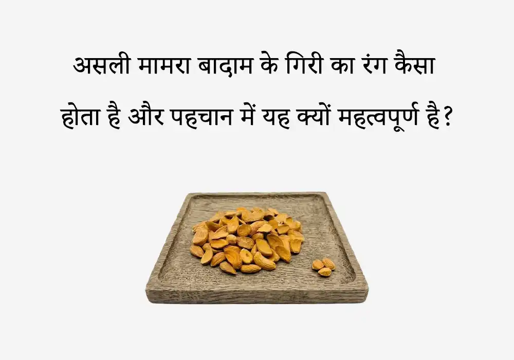 असली मामरा बादाम के गिरी का रंग कैसा होता है और पहचान में यह क्यों महत्वपूर्ण है?