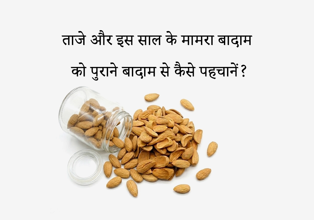 ताजे और इस साल के मामरा बादाम को पुराने बादाम से कैसे पहचानें?