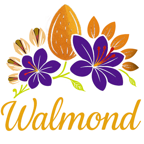 بادام ابراهیمی